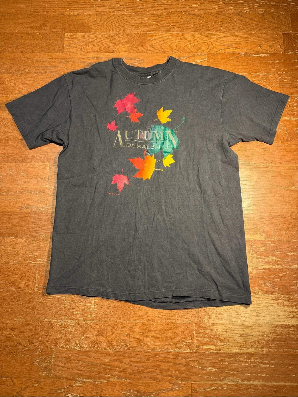 90s Autumn Leaves Dekalb Illinois Graphic Tee
